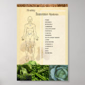 Póster Healthy Inmune System Poster (Voorkant)