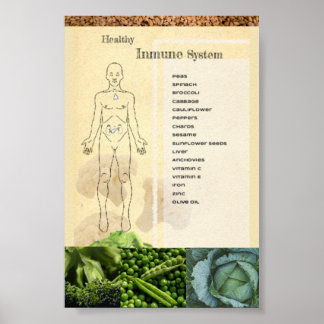 Póster Healthy Inmune System Poster