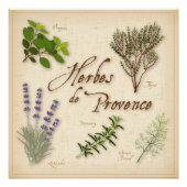 Poster Herbes de Provence (Voorkant)