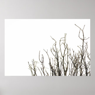 poster herfstbomen