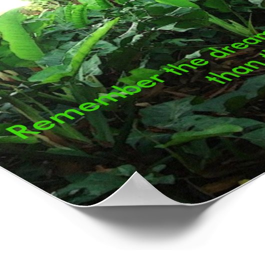 Poster: Herinner de dromen. .. Poster (Hoek)