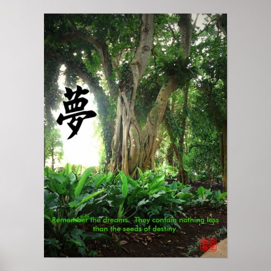 Poster: Herinner de dromen. .. Poster (Voorkant)