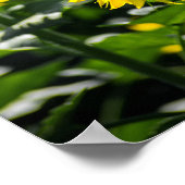 Poster Het Zonnebloemveld (Hoek)
