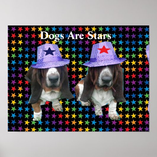 Poster honden zijn sterren (Voorkant)