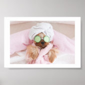 poster hondenkruid / hondenspa (Voorkant)