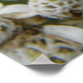 Poster Honingbij en bloemen (Hoek)