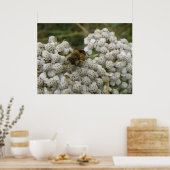 Poster Honingbij en bloemen (Keuken)