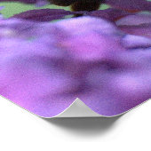 Poster honingbijen (Hoek)