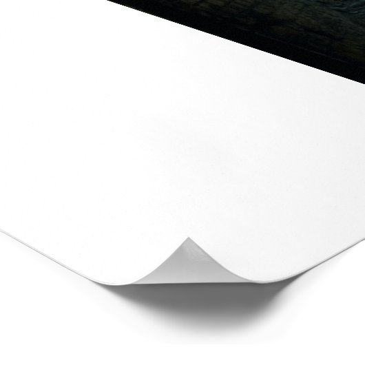 Poster-hoofdtrap Poster (Hoek)