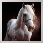 Poster horse white (Voorkant)