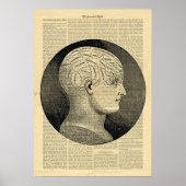 Poster Human Head Phrenologie over kranten (Voorkant)