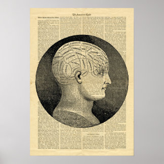 Poster Human Head Phrenologie over kranten