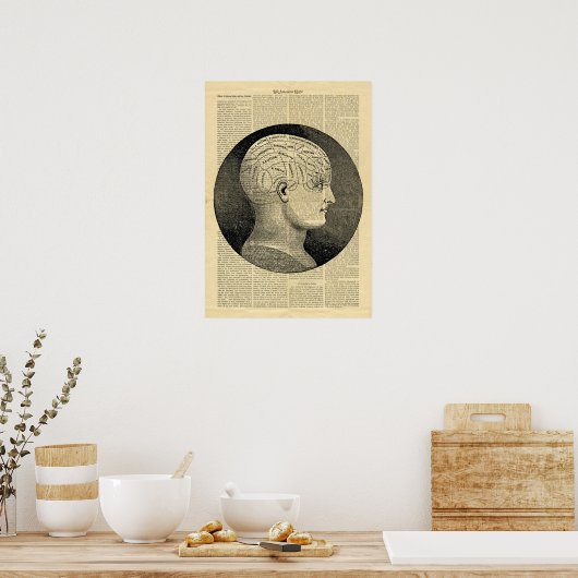 Poster Human Head Phrenologie over kranten (Keuken)