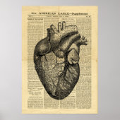 Poster Human Heart Anatomie in de krant (Voorkant)