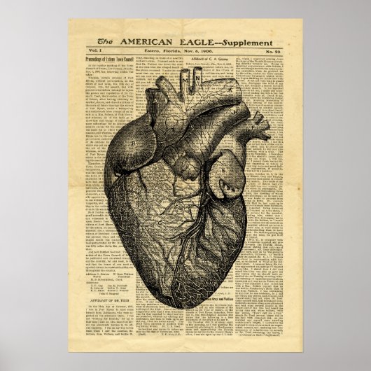 Poster Human Heart Anatomie in de krant (Voorkant)