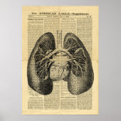Poster Human Lungs Antiek Anatomie op krant (Voorkant)