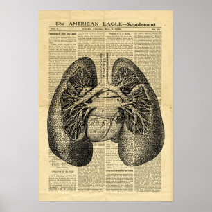 Poster Human Lungs Antiek Anatomie op krant