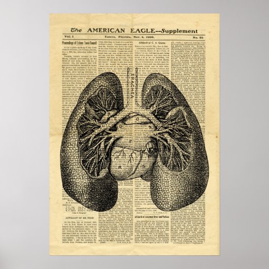 Poster Human Lungs Antiek Anatomie op krant (Voorkant)