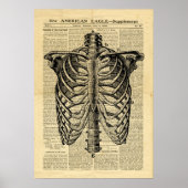 Poster Human Skeleton Thorax in de krant (Voorkant)
