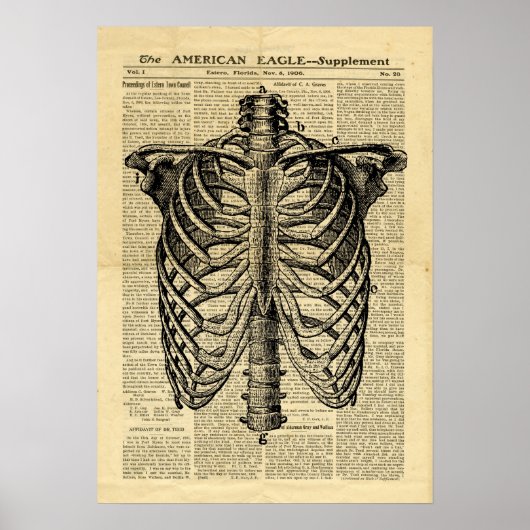 Poster Human Skeleton Thorax in de krant (Voorkant)