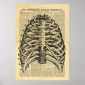 Poster Human Skeleton Thorax in de krant (Voorkant)