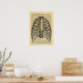 Poster Human Skeleton Thorax in de krant (Keuken)