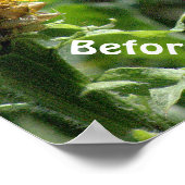 Poster, Humor, "Het krijgen van haar gedaan Perks  Poster (Hoek)