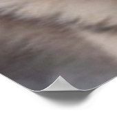 Poster Husky (Hoek)