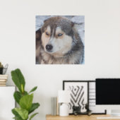 Poster Husky (Thuiskantoor)