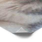 Poster Husky (Hoek)