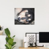 Poster Husky One Blue Eye One Brown Eye (Thuiskantoor)