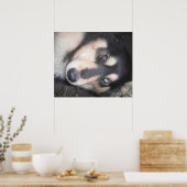 Poster Husky One Blue Eye One Brown Eye (Keuken)