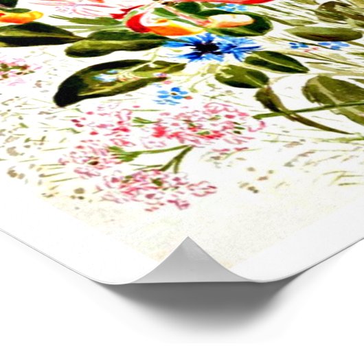 Poster- Illustratie-Beatrix Potter 10 Poster (Hoek)