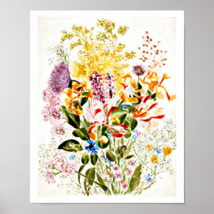 Poster- Illustratie-Beatrix Potter 10 Poster