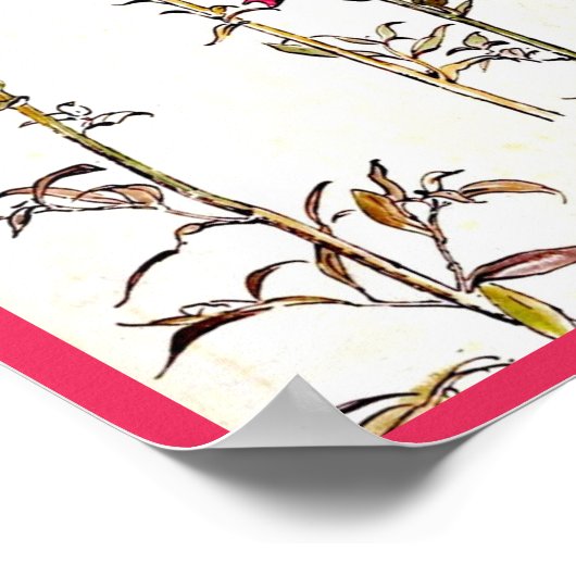 Poster- Illustratie-Beatrix Potter 7 Poster (Hoek)