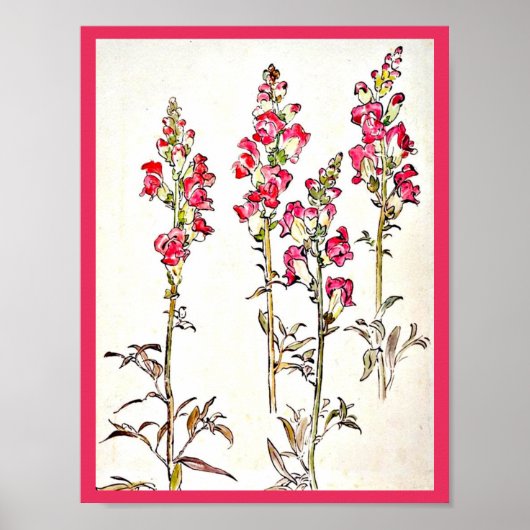 Poster- Illustratie-Beatrix Potter 7 Poster (Voorkant)