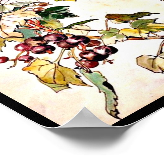 Poster- Illustratie-Beatrix Potter 9 Poster (Hoek)