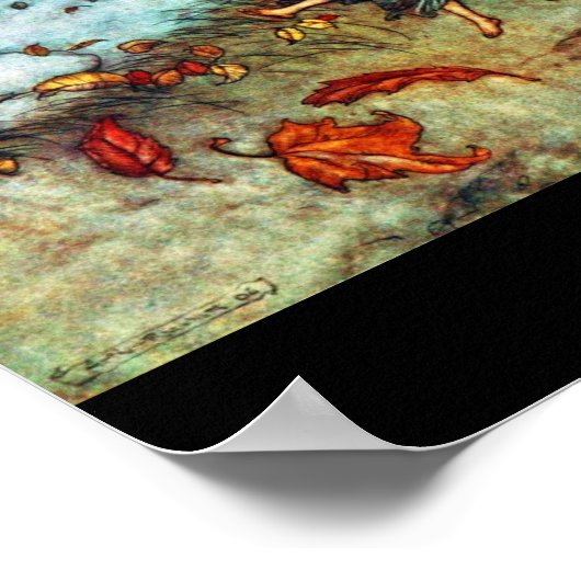 Poster- Illustratie-Rackham 40 Poster (Hoek)