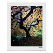 Poster in de herfst (Voorkant)