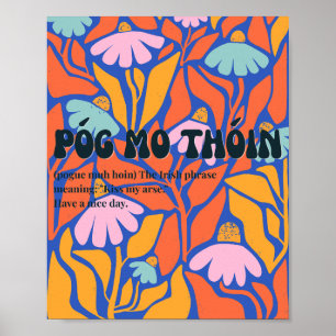 Poster in de stijl van de jaren 70 met Ierse Póg m