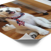 poster in de wereld (Hoek)