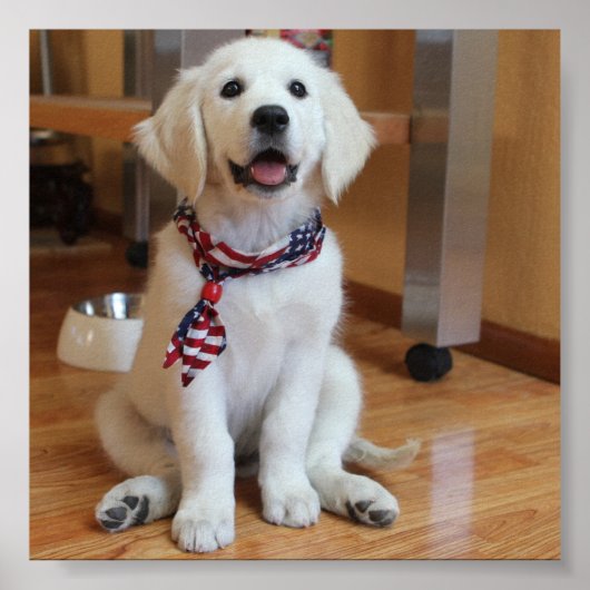 poster in de wereld (Voorkant)