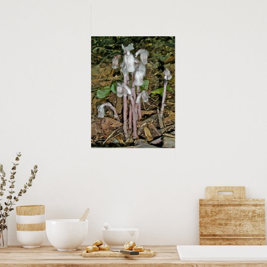 Poster Indische pijpen (Keuken)