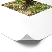 Poster - Inquisitief eekhoorn (Hoek)