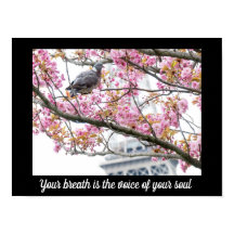 Poster Inspirerend offertes