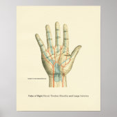 Poster interne anatomie met hand en pols (Voorkant)