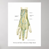 Poster interne anatomie met hand en pols (Voorkant)