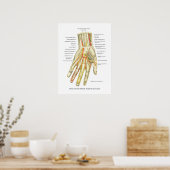 Poster interne anatomie met hand en pols (Keuken)
