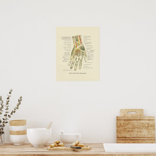 Poster interne anatomie met hand en pols (Keuken)