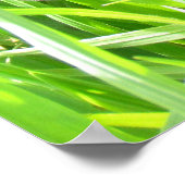 Poster - Iron Sunflower in Grass (Hoek)